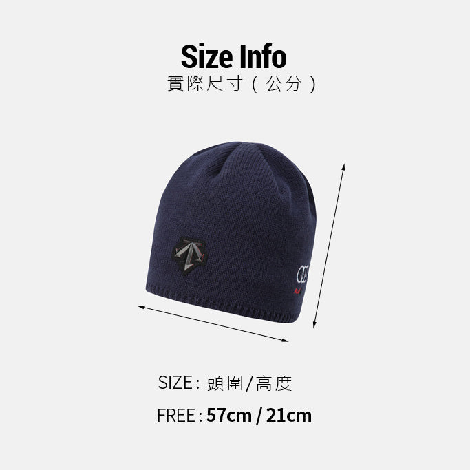 SPAIN SNOW UNFOLD BEANIE 中性 毛帽