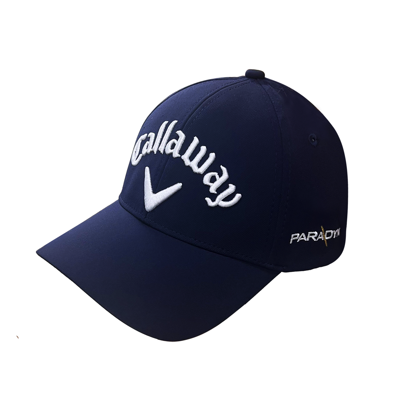 PARADYM 系列帽（深藍）
