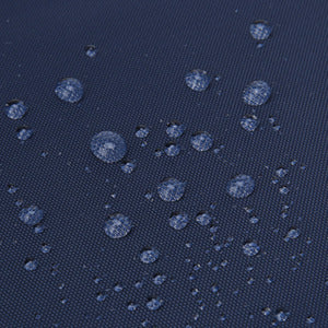 SWISS SKI TEAM BACKPACK (26L) 中性 後背包