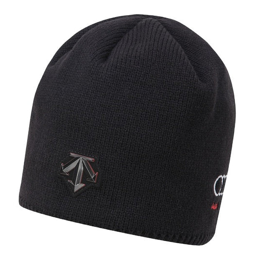 SPAIN SNOW UNFOLD BEANIE 中性 毛帽