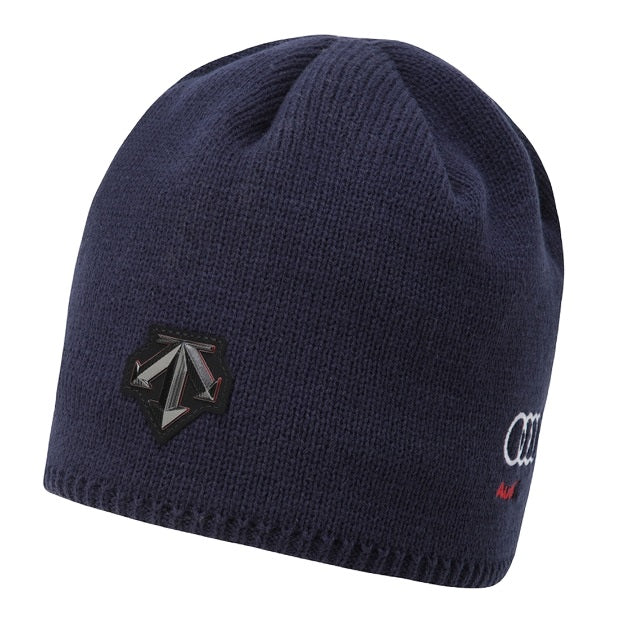 SPAIN SNOW UNFOLD BEANIE 中性 毛帽